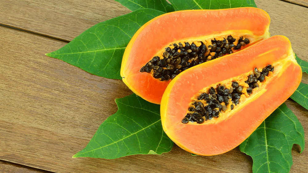 The Garden of Naturalsolution